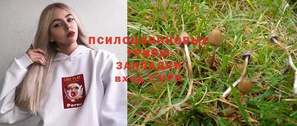 таблы Белокуриха