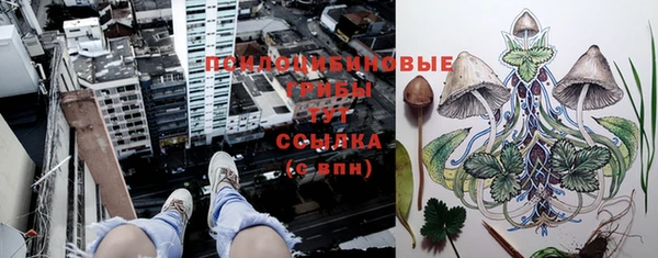 ECSTASY Белоозёрский