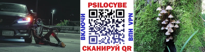 купить  цена  Надым  Галлюциногенные грибы мухоморы 